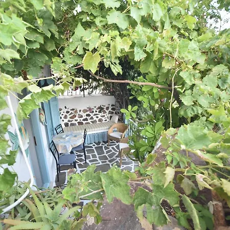 Traditional House By The Sea